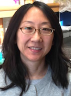 Jennifer Hwa, Ph.D.